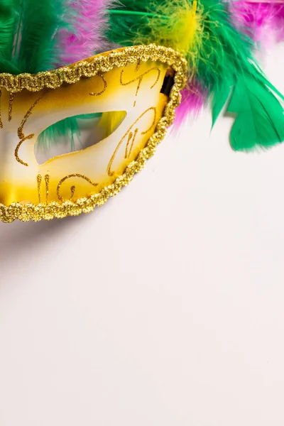Gros Plan Masque Coloré Carnaval Mardi Gras Avec Des Plumes — Photo
