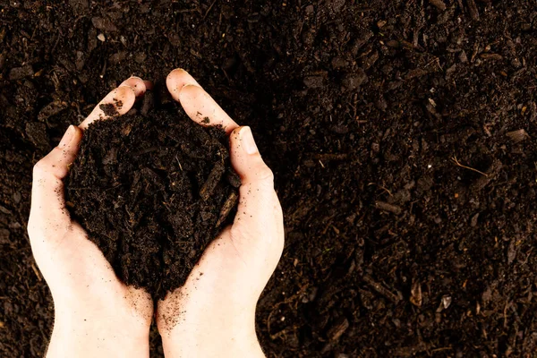 Pair Hands Cupping Dark Rich Peat Soil Bark Pieces Ecology — Stock Photo, Image