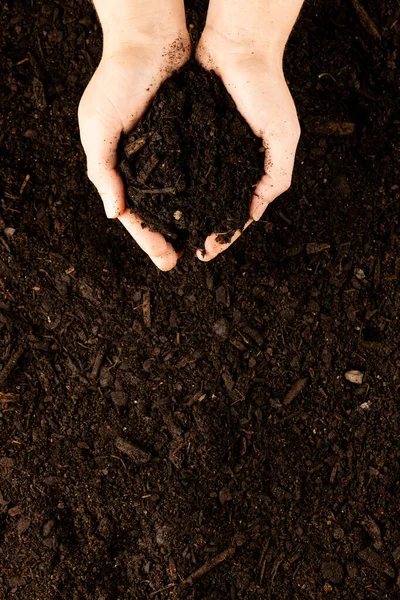 Vertical Image Pair Hands Cupping Dark Rich Peat Soil Bark — Stock Photo, Image