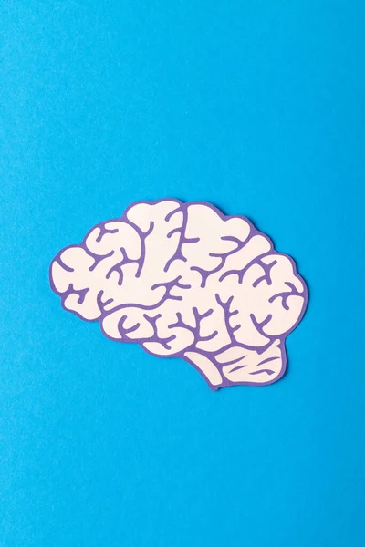Vertical composition of white and purple human brain, on blue background with copy space. Medicine, mental health, science and healthcare concept.