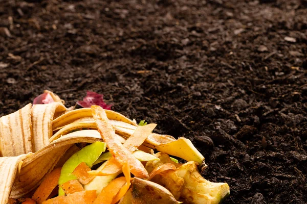 Organic Fruit Vegetable Waste Composting Dark Soil Copy Space Ecology — Stock Photo, Image
