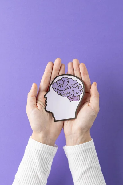 stock image Composition of hands holding head silhouette with brain on purple background. Medicine, healthcare, science and copy space concept, digital composite image.