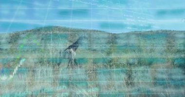 Zürafa ve manzara üzerinde veri işleme animasyonu. Küresel iş ve dijital arayüz kavramı dijital olarak oluşturulmuş video.