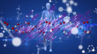 İnsan vücudu modeli ve dijital dalga üzerinde yüzen DNA ve moleküler yapıların animasyonu. Tıbbi araştırma ve bilim teknolojisi kavramı