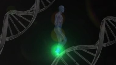 İskelet yürüyüşünün üzerindeki DNA iplikçiklerinin canlandırması. Küresel iş ve dijital arayüz kavramı dijital olarak oluşturulmuş video.