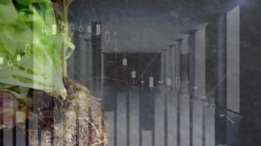 İbadet sırasında veri işleme animasyonu. Küresel iş ve dijital arayüz kavramı dijital olarak oluşturulmuş video.