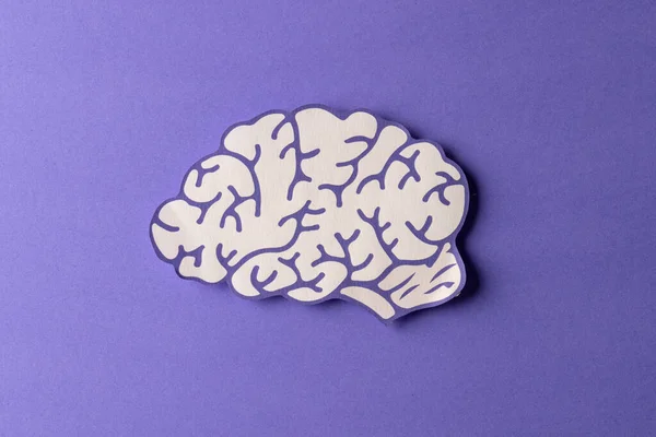 Zusammensetzung Aus Weißem Und Violettem Gehirn Auf Violettem Hintergrund Mit — Stockfoto
