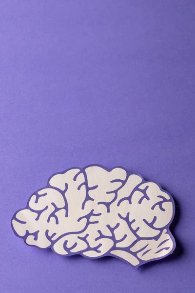 Vertikale Komposition Aus Weißem Und Violettem Gehirn Auf Violettem Hintergrund — Stockfoto