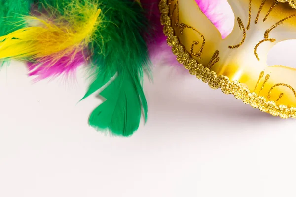 色彩斑斓的狂欢节面具的组成 白色背景上的羽毛与复制空间 庆祝和狂欢节的概念 — 图库照片