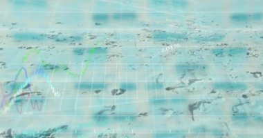 Plajda veri işleme animasyonu. Küresel ekoloji ve dijital arayüz kavramı dijital olarak oluşturulmuş video.