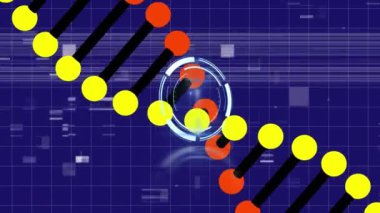 Dna iplikçiklerinin ve dijital simgelerin animasyonu. Küresel bilim, hesaplama, dijital arayüz ve veri işleme kavramı dijital olarak oluşturuldu.