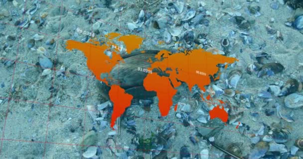 对海滩上的废物和鸟类的数据处理和世界地图进行动画制作 全球生态和数字接口概念数字生成视频 — 图库视频影像