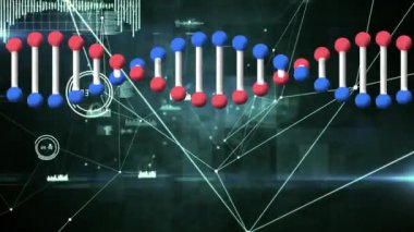 DNA iplikçiklerinin dönüşünün animasyonu, bağlantılar ağı, istatistik ve veri işleme. Küresel bilim, hesaplama, bağlantılar ve dijital olarak oluşturulmuş video işleme kavramı.