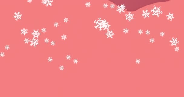Animation Des Weihnachtsschneefalls Winterlicher Landschaft Weihnachten Fest Feier Und Brauchtumskonzept — Stockvideo