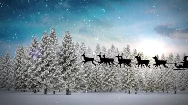 Ren Geyikleri Noel Ağaçlarıyla Noel Baba Nın Üzerine Yağan Kar — Stok video