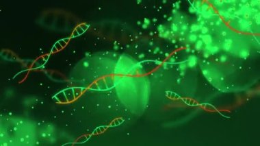 Yeşil arka plandaki ışık noktalarının üzerindeki DNA iplikçiklerinin animasyonu. Küresel bilim, tıp ve dijital arayüz kavramı dijital olarak üretilen video.
