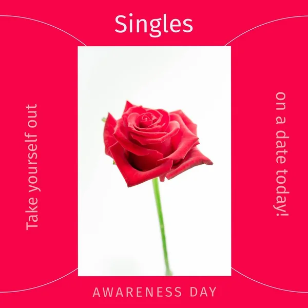 Composition of singles awareness day text and red rose on white background. Singles awareness day and single life concept.