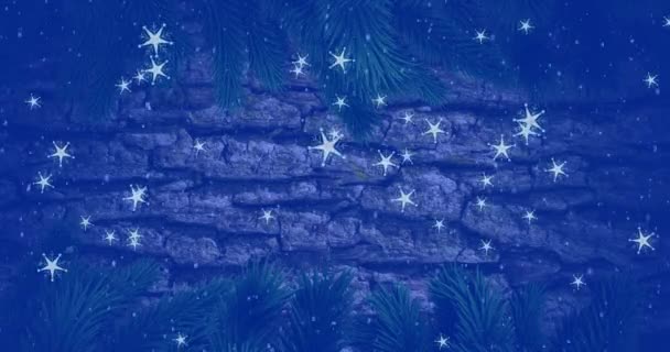 Animação Neve Caindo Sobre Ramos Árvore Natal Sobre Latido Natal — Vídeo de Stock