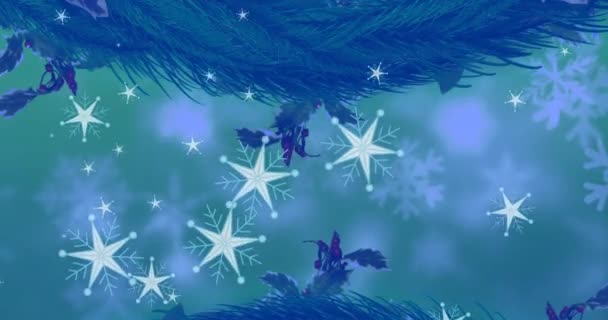 Animation Von Schnee Der Über Äste Von Weihnachtsbäumen Fällt Weihnachten — Stockvideo
