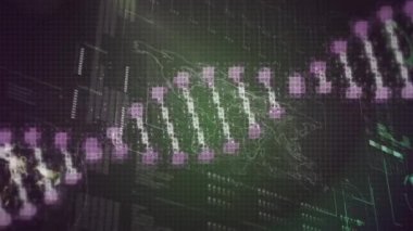 Dünya üzerinde DNA sarmalının canlandırılması, çizgiler, radar ve harita soyut arkaplana karşı yükleniyor. Dijital olarak üretilmiş, hologram, küreselleşme, molekül, tıbbi, ilerleme, sağlık ve teknoloji.