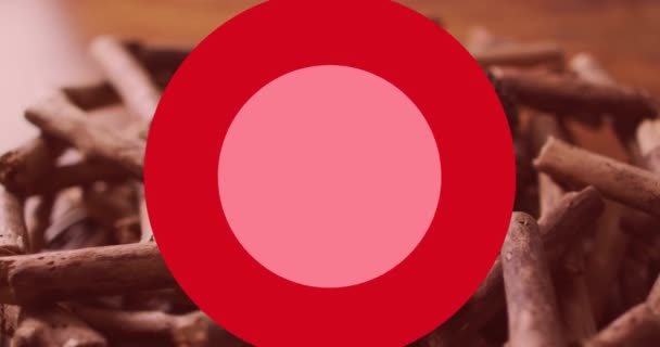 Анімація Тексту Червоному Колі Над Корицею Пінцетами Цифровий Композит Багаторазова — стокове відео