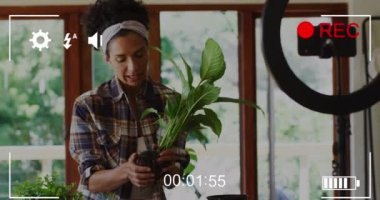 Animation of digital screen interface over biracial woman potting plant. Nature, gardening and leisure time concept digitally generated video.