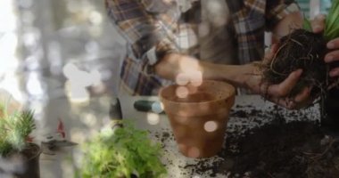 Animation of glowing light spots over biracial woman potting plant. Nature, gardening and leisure time concept digitally generated video.