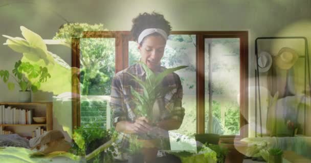 Animation Plants Biracial Woman Potting Plant Vlogging Nature Gardening Leisure — Stok video