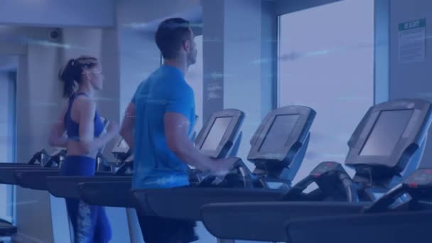 Animation Data Processing People Running Treadmill Exercising Gym Global Sports — Stock videók