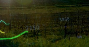 Elektrik direkleri üzerinde finansal veri işleme animasyonu. Küresel ekoloji, finans ve dijital arayüz kavramı dijital olarak oluşturulmuş video.