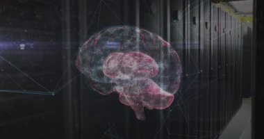 Animation of connections and digital brain over server room. Global technology, online security and digital interface concept digitally generated video.