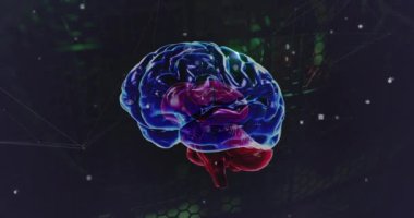 Animation of caucasian and digital brain over server room. Global technology, online security and digital interface concept digitally generated video.