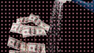 Neon lights with alpha channel. American independence and celebration concept.