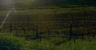 Elektrik direkleri üzerinde finansal veri işleme animasyonu. Küresel ekoloji, finans ve dijital arayüz kavramı dijital olarak oluşturulmuş video.