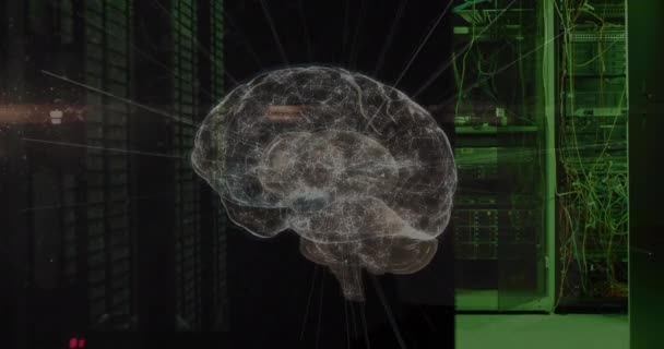 Анимирование Соединений Цифрового Мозга Над Серверной Комнатой Глобальные Технологии Онлайновая — стоковое видео