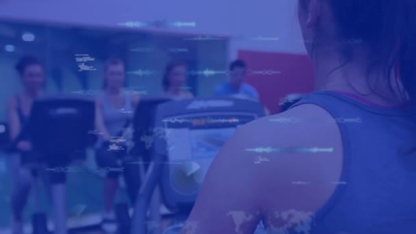 Анимация Обработки Данных Над Людьми Стационарных Велосипедах Упражнения Тренажерном Зале — стоковое видео