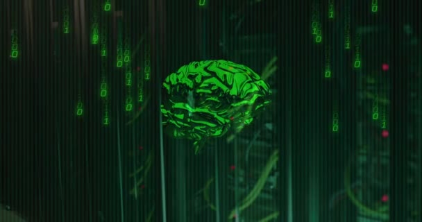 Animation Data Processing Digital Brain Server Room Global Technology Online — Stock videók