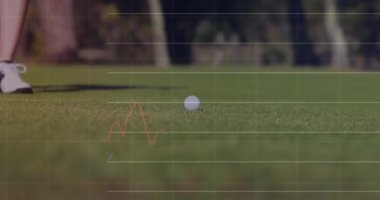 Animation of statistics and financial data processing over player on golf course. Global sports, networks, computing and data processing concept digitally generated video.