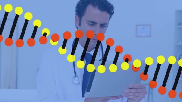 Animation Dna Structure Spinning Caucasian Male Doctor Using Digital Tablet — Vídeo de stock