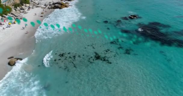 Анимирование Обработки Данных Воздушному Виду Морских Волн Пляжа Концепция Бизнеса — стоковое видео