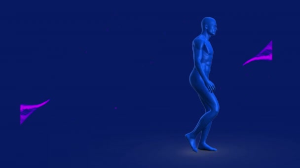 Animation Human Body Model Walking Purple Digital Waves Blue Background — Stockvideo