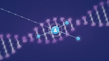 Animation of network of connections with icons and dna strand. Global business, finances, networks, computing and data processing concept digitally generated video.