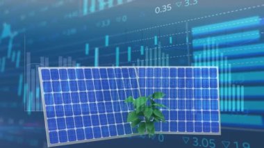 Animation of statistics and financial data processing over solar panels. Global solar energy, sustainability, computing, digital interface and data processing concept digitally generated video.