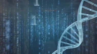 Sunucu odasında veri işlenen DNA iplikçiklerinin animasyonu. Küresel teknoloji, bilgisayar ve dijital arayüz kavramı dijital olarak oluşturulmuş video.