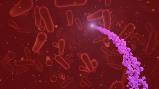 Animation 2021 Virus Cells Red Background Global Covid Pandemic Science — Stock video