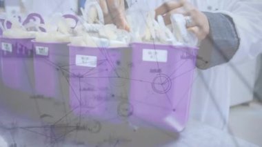 Animation of network of connections and data processing over male doctor. Global medicine, healthcare services, connections, computing and data processing concept digitally generated video.