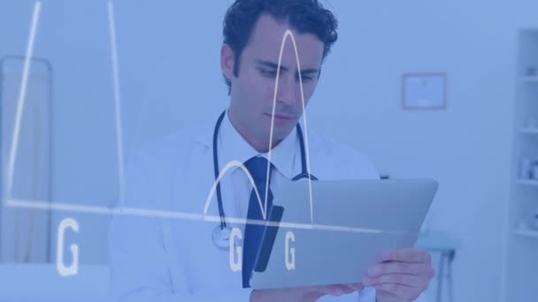 Animation Heart Rate Monitor Caucasian Male Doctor Using Digital Tablet — Stok video