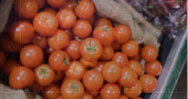 Animation of statistical data processing over close up of fresh tomatoes at a grocery store. Retail business technology concept