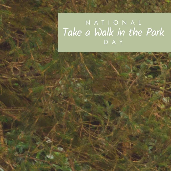 Composition National Take Walk Park Day Text Fir Tree Branches — Foto de Stock