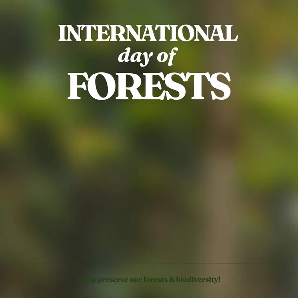Composition International Day Forests Text Out Focus Trees International Day — стоковое фото